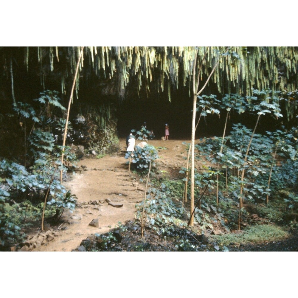 1960s Kodak 35mm Slide Hawaii Travels, Fern Grotto #3, Kauai, Hawaii (5) - Picture 1 of 1